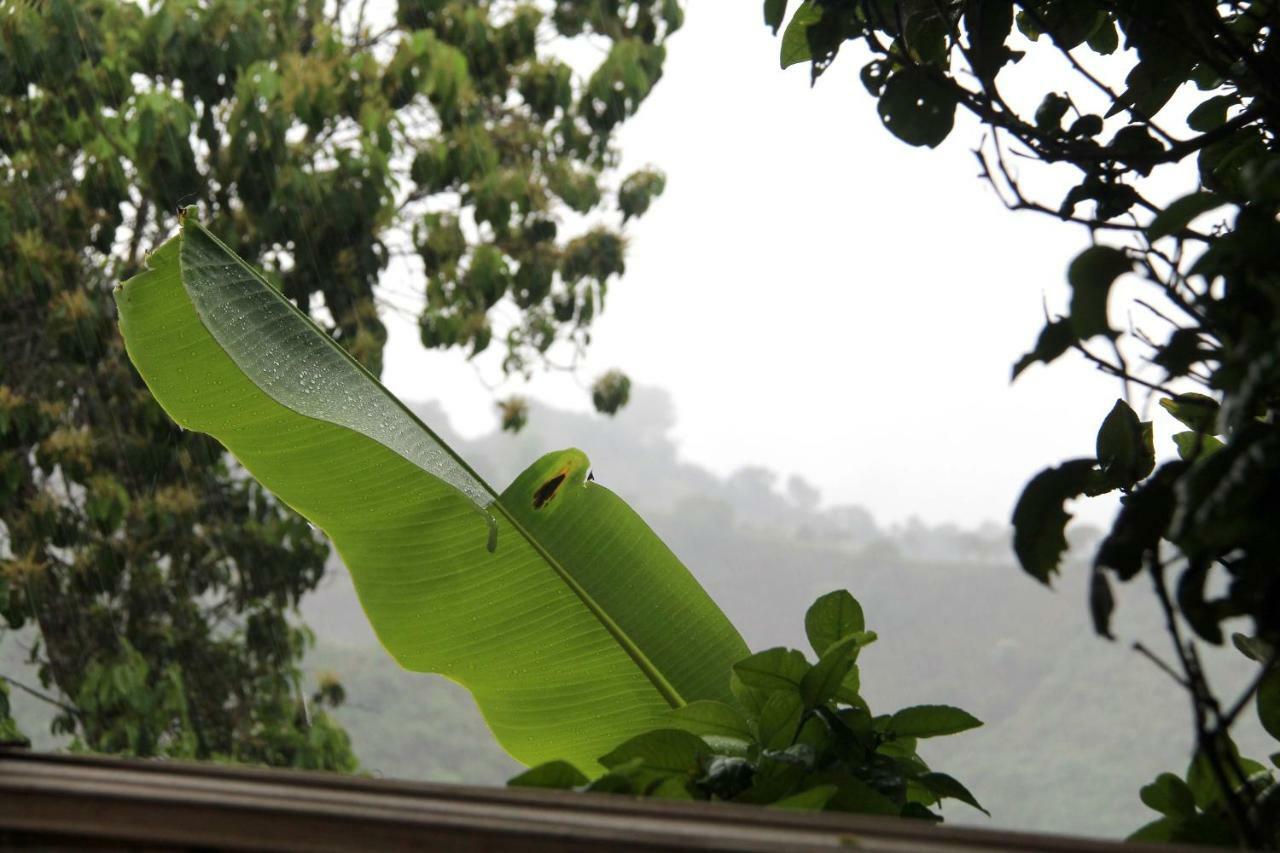 Eco Hotel El Columpio サレント エクステリア 写真