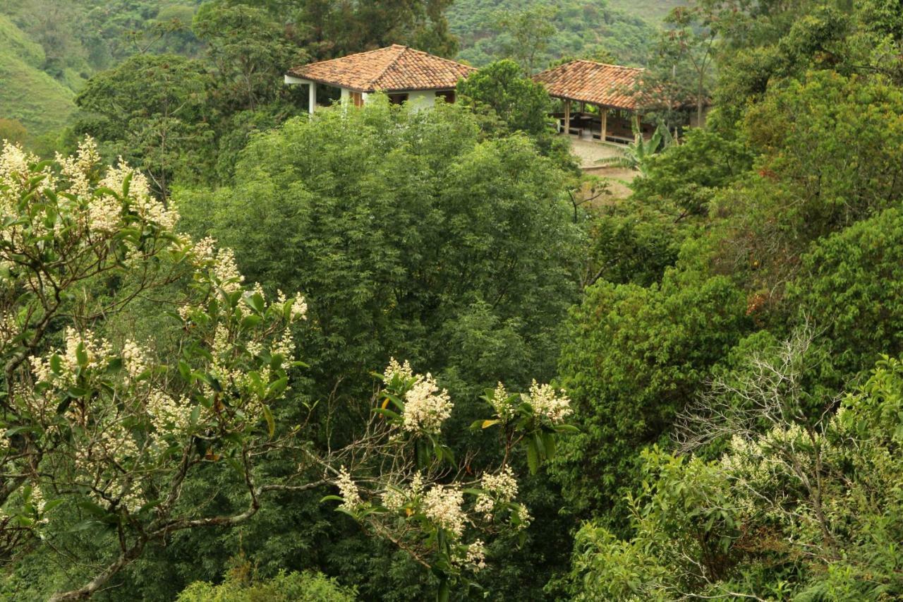 Eco Hotel El Columpio サレント エクステリア 写真