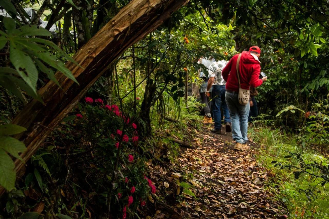 Eco Hotel El Columpio サレント エクステリア 写真