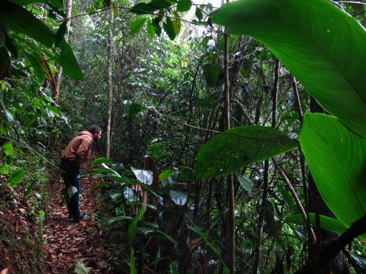 Eco Hotel El Columpio サレント エクステリア 写真