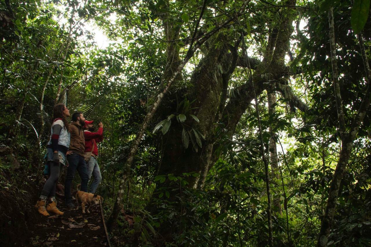 Eco Hotel El Columpio サレント エクステリア 写真