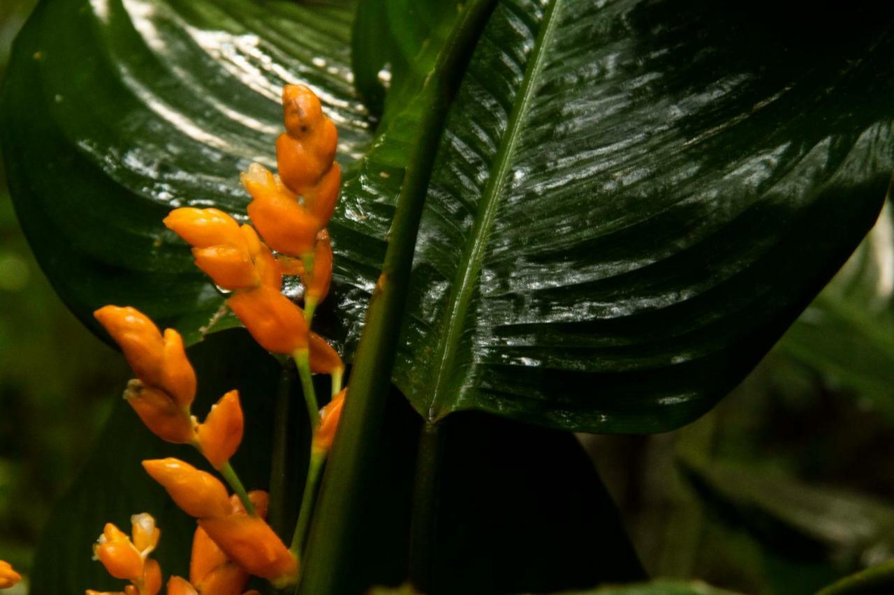Eco Hotel El Columpio サレント エクステリア 写真