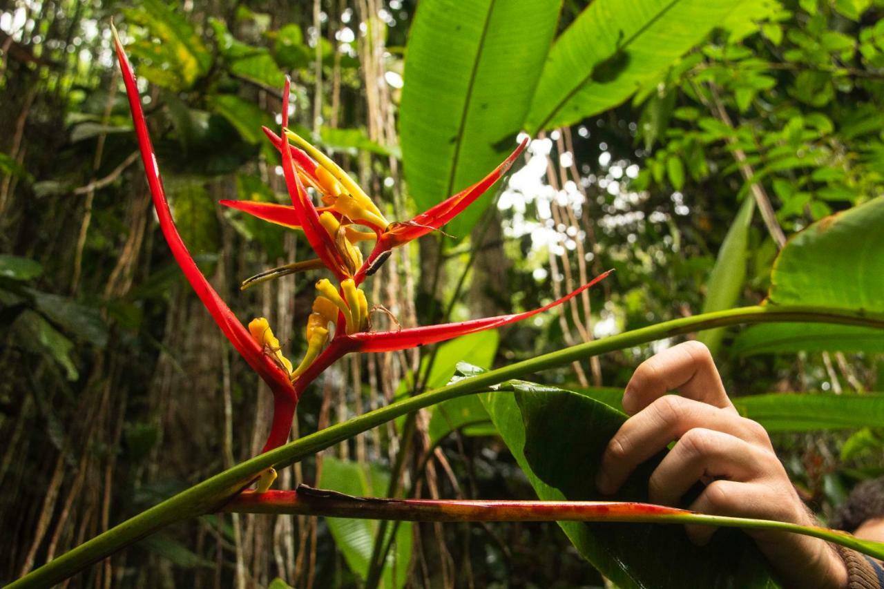 Eco Hotel El Columpio サレント エクステリア 写真