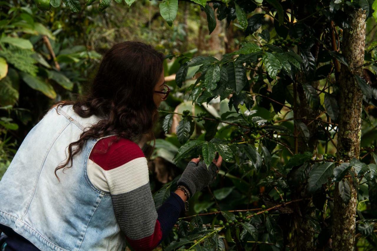 Eco Hotel El Columpio サレント エクステリア 写真