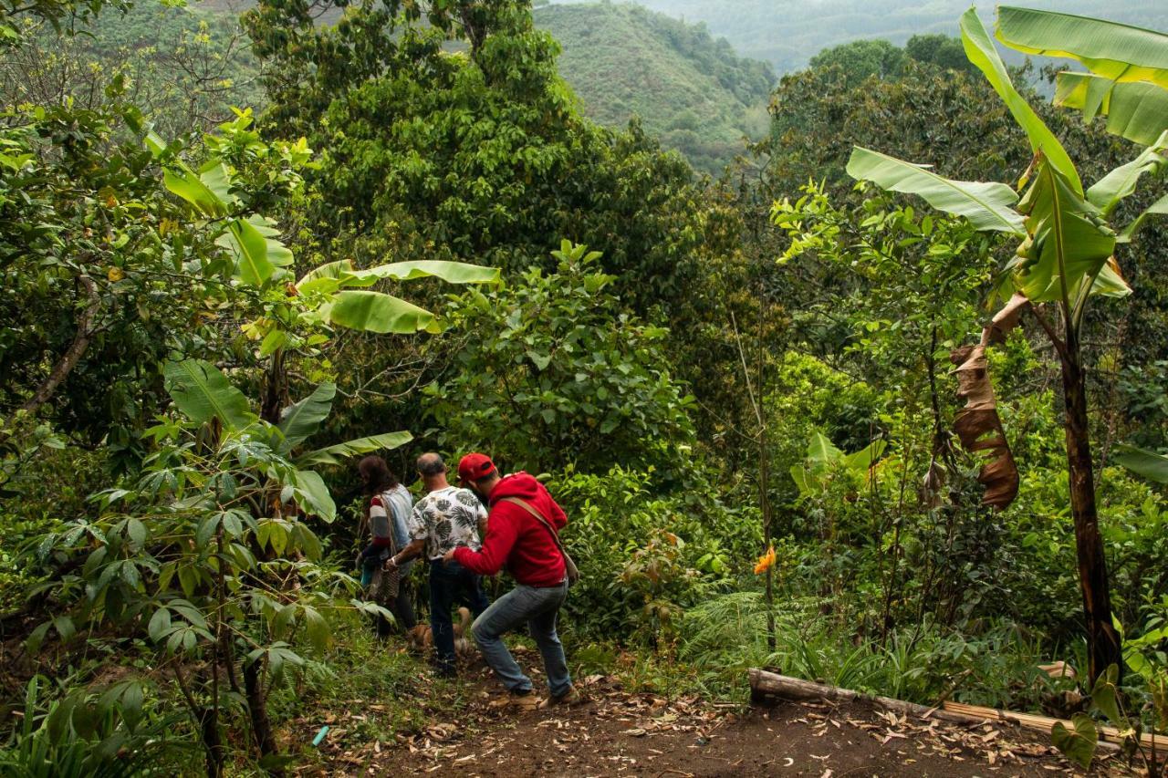 Eco Hotel El Columpio サレント エクステリア 写真
