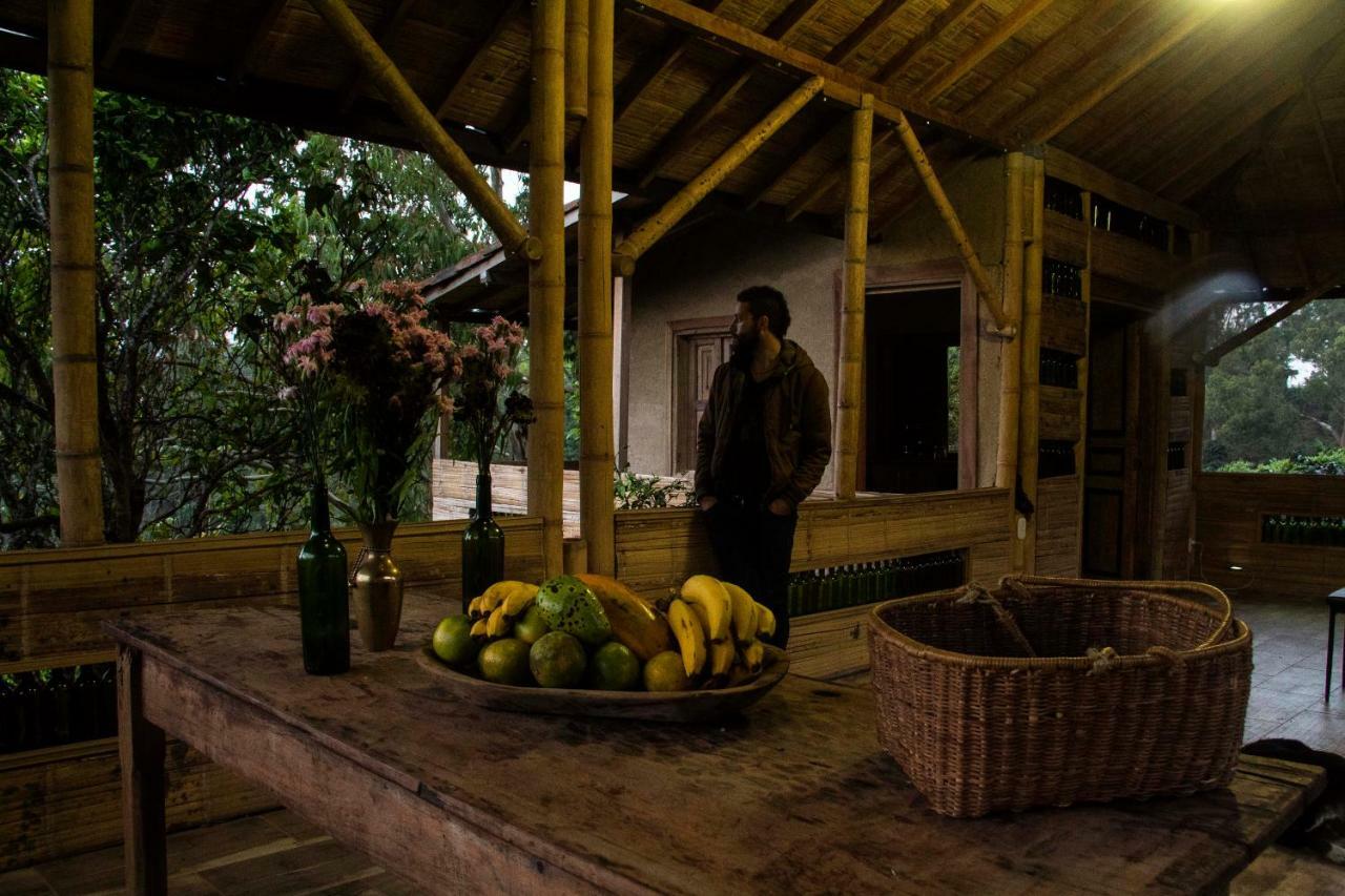 Eco Hotel El Columpio サレント エクステリア 写真