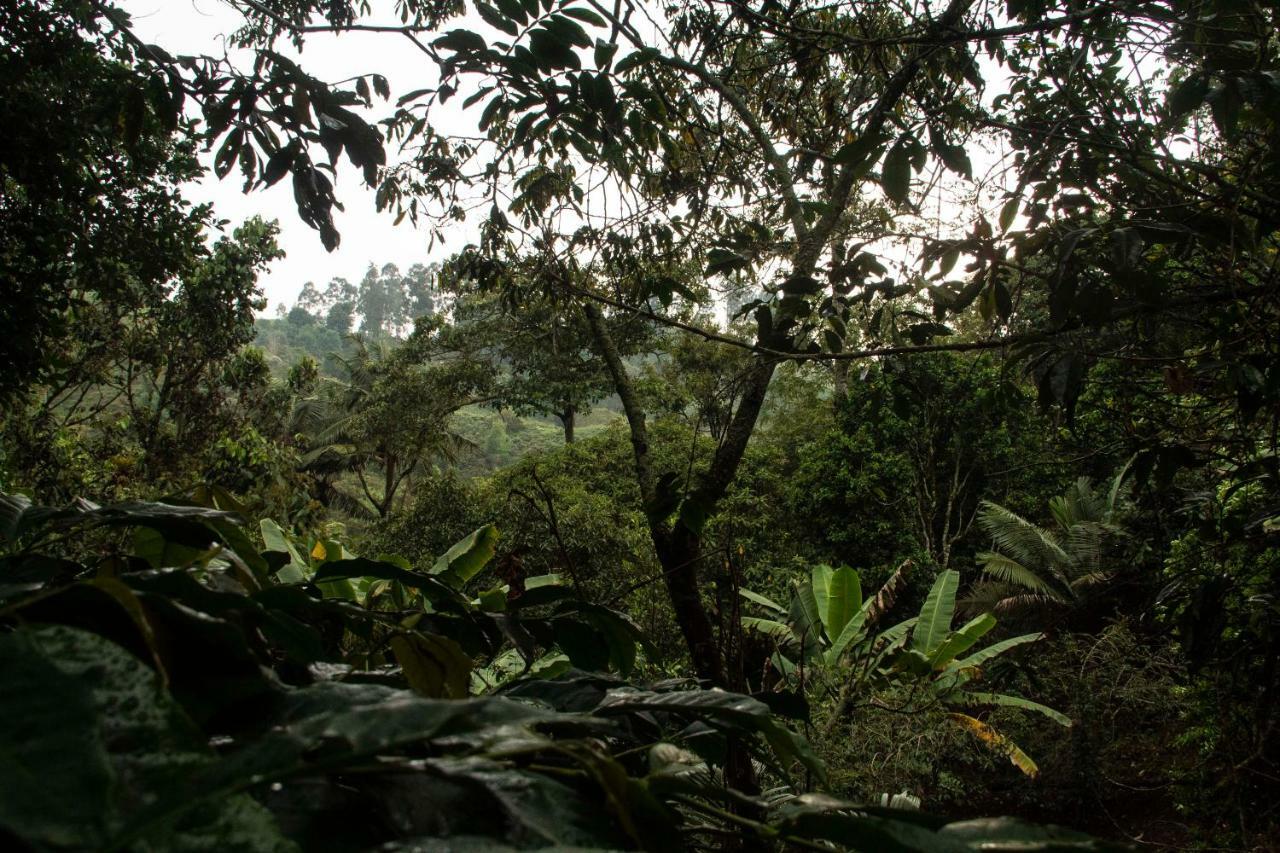 Eco Hotel El Columpio サレント エクステリア 写真
