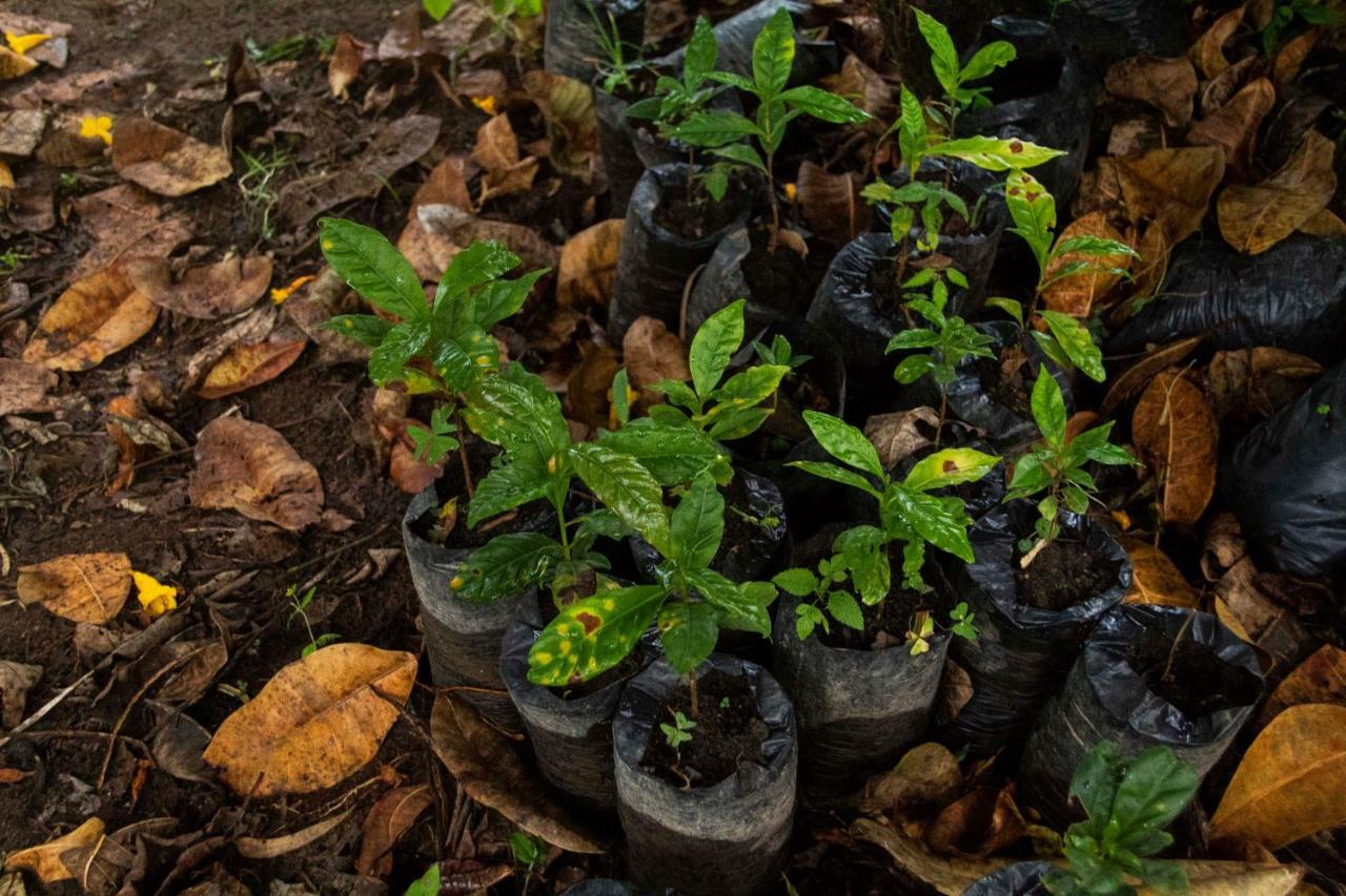 Eco Hotel El Columpio サレント エクステリア 写真