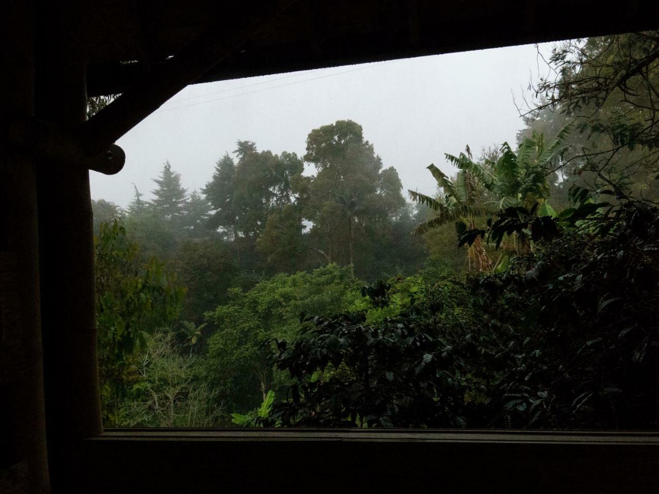 Eco Hotel El Columpio サレント エクステリア 写真